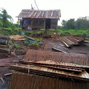 Nelayan Miskin Beli Kayu Rehab Rumah Ditangkap
