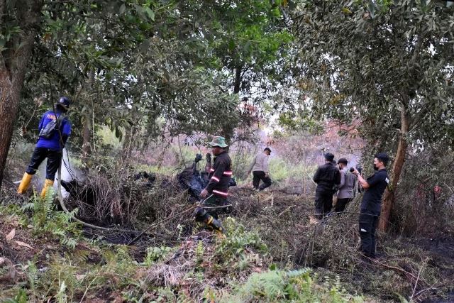 Perusahaan Perkebunan Ditekankan Cegah Karhutla