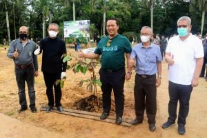 145 Tanaman Ditanam di Pendopo Gubernur Diantaranya Kurma