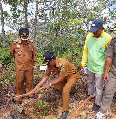 Lima Ribu Pohon Pulihkan Hutan Atasi Krisis Iklim