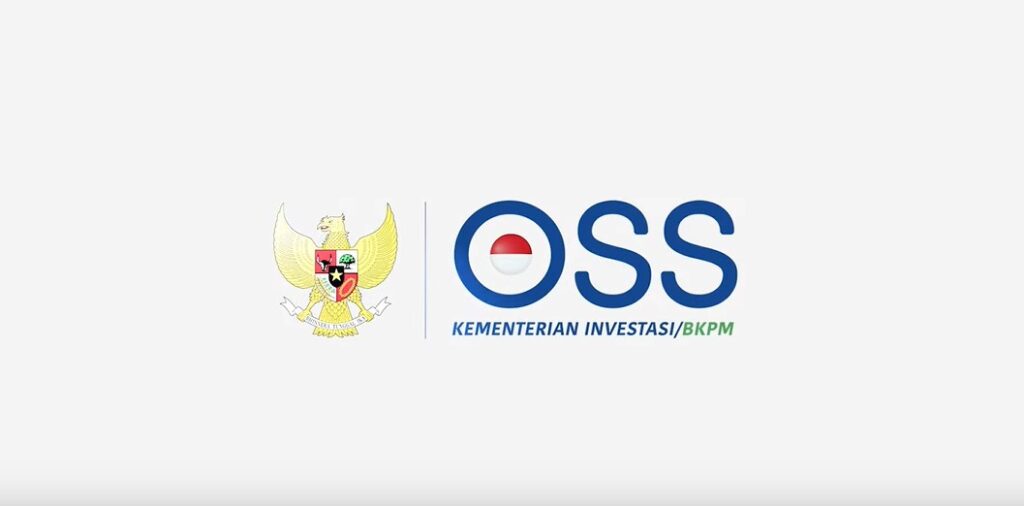 Kominfo Dampingi PSE Tidak Paham Daftar ke OSS