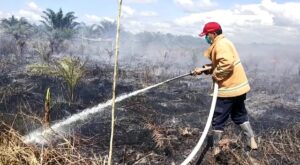 Karhutla Terjadi di Dua Kecamatan Diduga Disengaja