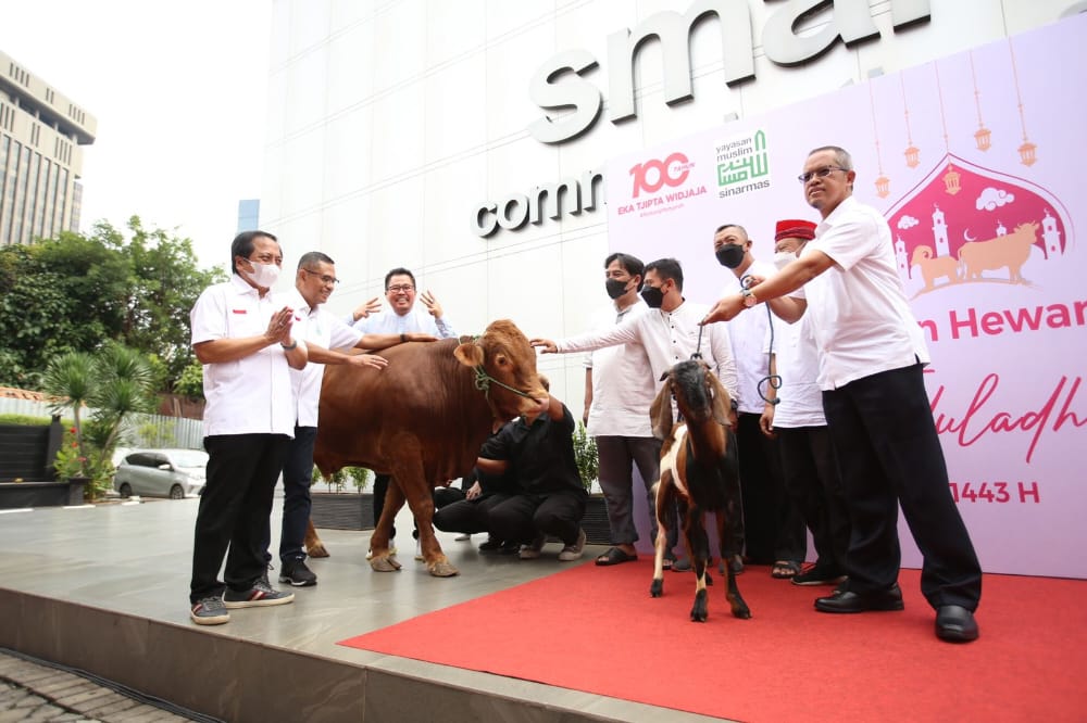 Smartfren bersama Yayasan Muslim Sinar Mas (YMSM) menyerahkan hewan kurban dalam rangka merayakan Idul Adha kepada masyarakat sekitar kantor regional Smartfren di penjuru Indonesia