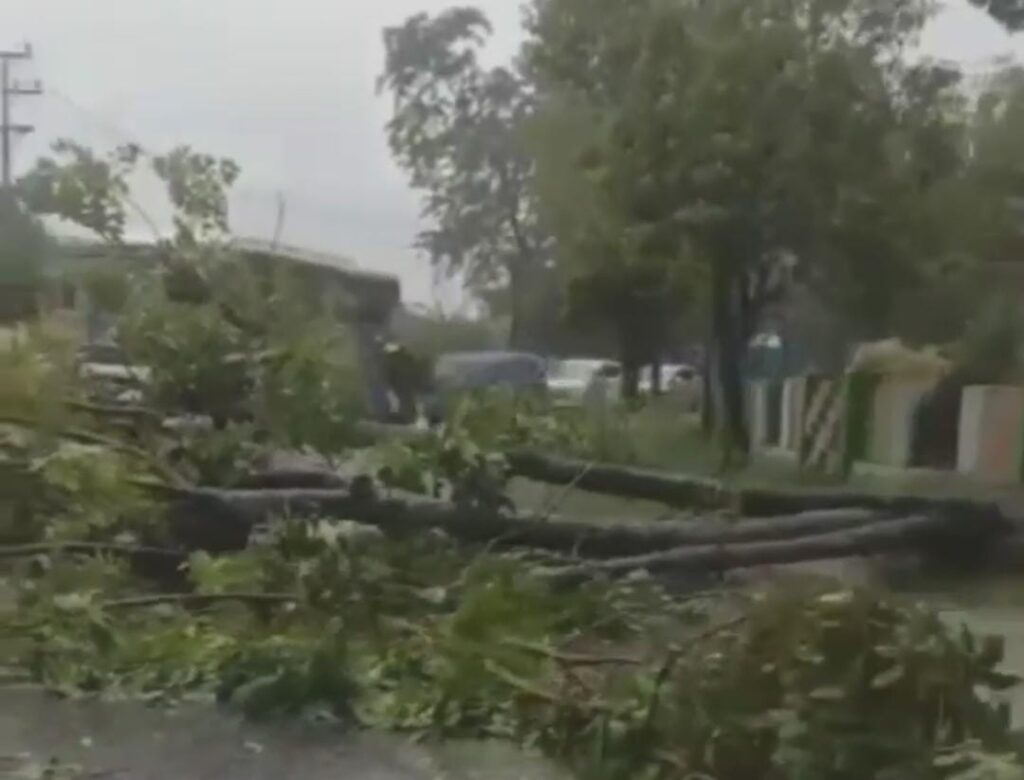 Hujan deras disertai angin kencang yang melanda sebagian besar wilayah Kota Pontianak dan Kubu Raya mengakibatkan bencana pohon tumbang dan banjir di beberapa lokasi pada Sabtu (13/8).