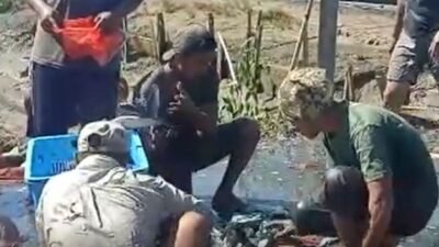 Budidaya ikan bandeng menjadi salah satu potensi yang dilirik masyaarakat Desa Sebatuan Kecamatan Pemangkat.