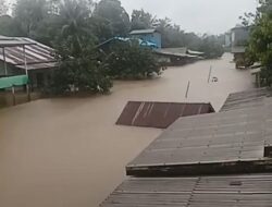 Ribuan Jiwa Terdampak Banjir di Ketapang