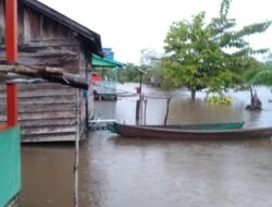 Banjir di Sanggau Semakin Tinggi