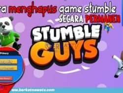 Cara Menghapus Akun Stumble Guys Secara Permanen