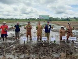 500 Hektare Untuk Budidaya Biofortifikasi