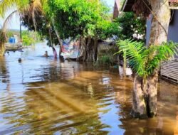 Waspada Banjir, Debit Sui Sekayam dan Sui Kapuas Naik