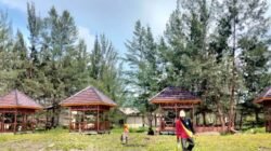 PANTAI TENGKUYUNG DI DESA SUNGAI NIBUNG