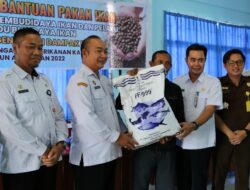 Bantuan Pakan Ikan di Tengah Laju Inflasi