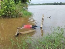 Srikandi Tewas Ditemukan di Meliau