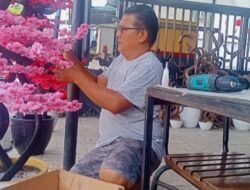Meraup Cuan dari Bisnis Bunga Mei Hwa Jelang Imlek