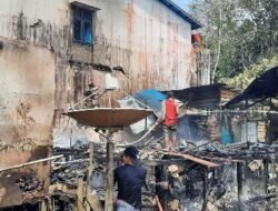 Si Jago Merah Lahap Rumah di Nanga Tayap