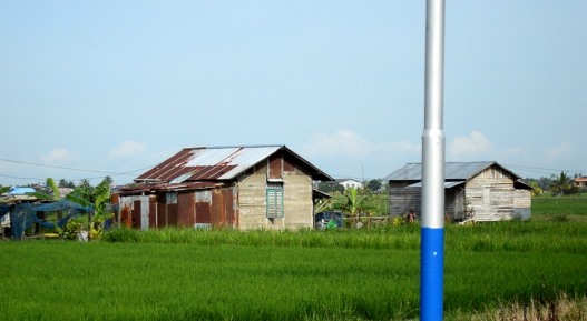 Petani di Sambas mewaspadai adanya usulan Rencana Definitif Kebutuhan Kelompok (RDKK) pupuk bersubsidi yang rentan disalahgunakan sebab hingga saat ini tidak ada penambahan areal lahan pertanian.