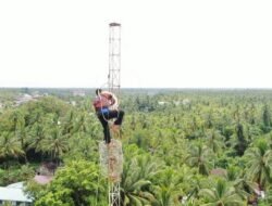 172 Tower Telekomunikasi, Hanya 12 Tower Milik Pemerintah Aktif