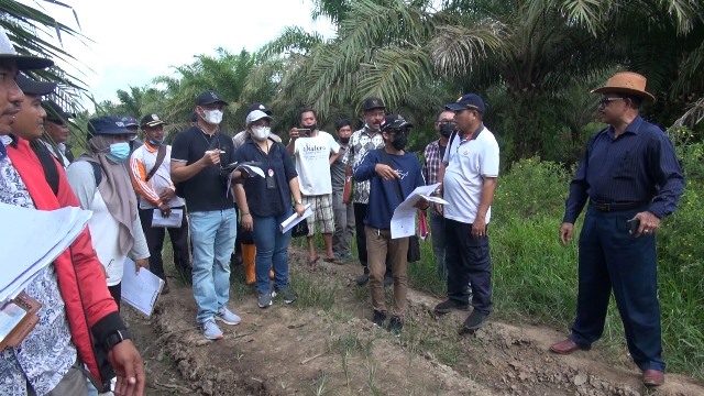 Pengadilan Negeri Mempawah melakukan sidang lapangan dalam kasus gugatan pemilik tanah ataas nama Ana yang merasa tanahnya diserobot PT Putra Lirik Domas, Jumat (20/1) pagi.