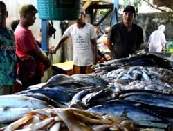 Tangkapan Nelayan Melimpah Setelah Cuaca Ekstrem