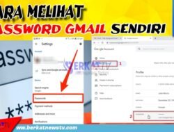 Cara Melihat Password Gmail Sendiri