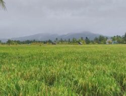 Gunung Selindung, Wisata Alam yang Menantang Adrenalin