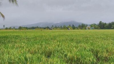 Gunung Selindung di Kabupaten Sambas yang menantang adrenalin bagi para pelancong yang ingin berwisata