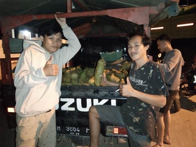 Sejumlah kawula muda di Bengkayang menghasilkan cuan hingga jutaan rupiah dengan usaha mengepul buah cempedak untuk dijual ke Kalimantan Tengah.