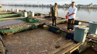Babinsa Bangka Belitung Laut, Koramil 02/Pontianak Selatan, Kodim 1207/PTK, Sertu Budi Yanto saat bertandang ke salah satu pemilik kerambah di Jalan Adi Sucipto Gang. H. Hasan, Pontianak Selatan, Minggu (26/3).