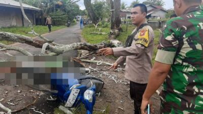 Seorang pengendara tewas seketika setelah tertimpa pohon saat melintas di Jalan Pierre Tendean, Rabu (22/3). Foto: naufal