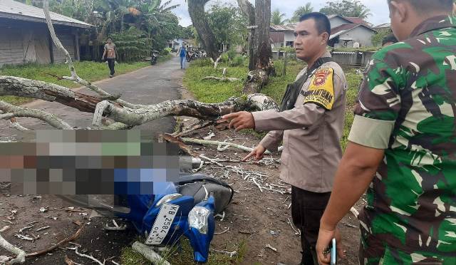 Seorang pengendara tewas seketika setelah tertimpa pohon saat melintas di Jalan Pierre Tendean, Rabu (22/3). Foto: naufal