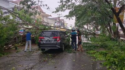 Pohon Besar di Serdam Tumbang Menimpa Mobil