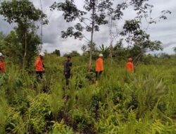 Pencarian Nenek Petani Hilang Misterius di Sui Asam Dihentikan