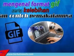 Mengenal Format GIF Serta Kelebihan dan Contoh Pemakaiannya