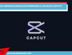 Cara Menghilangkan Watermark di Capcut