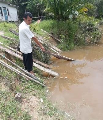 Ribuan ikan di Sungai Batang Tebang dan Sungai Kuala Tebang di Desa Melugai mengalami kematian massal. Diduga akibat Limbah Crude palm oul (CPO) PT. Agri Sentral Lestari (PT ASL) di Dusun Danau Teluk Desa Cempedak Kecamatan Tayan Hilir jebol.