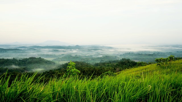 Bukit Padakng di Kabupaten Landak merupakan salah satu objek wisata alam yang menawarkan pemandangan eksotis dari lanskap hijau dan awan di atasnya