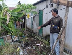 Bayi Perempuan Ditemukan di Bawah Pohon Pisang