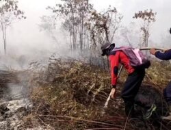Karhutla di Ketapang Hanguskan 41,26 Ha Lahan