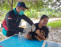 1.400 Kasus Rabies di Kalbar, 22.600 Dosis Vaksin Disalurkan