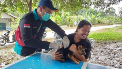 Petugas sedang menyuntikan vaksin rabies kepada hewan peliharaan milik masyarakat. Tercatat sejak Januari - Juni 2023 sebanyak 1.400 kasus rabies sehingga Pemprov Kalbar menyalurkan 22.600 dosis ke seluruh daerah di Kalbar