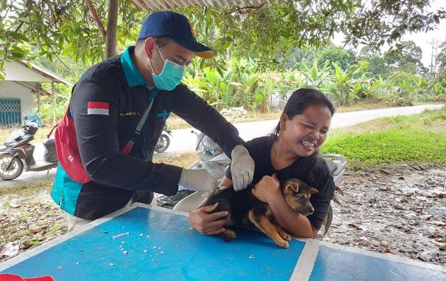 Petugas sedang menyuntikan vaksin rabies kepada hewan peliharaan milik masyarakat. Tercatat sejak Januari - Juni 2023 sebanyak 1.400 kasus rabies sehingga Pemprov Kalbar menyalurkan 22.600 dosis ke seluruh daerah di Kalbar