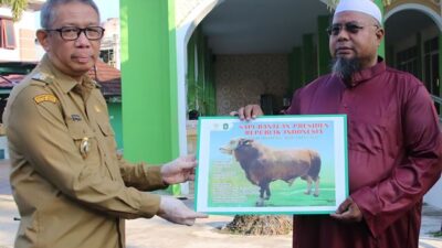 Gubernur Kalbar Sutarmidji menyerahkan sebanyak 89 ekor sapi kurban termasuk satu diantaranya sumbangan dari Presiden RI Joko Widodo secara simbolis, Selasa (27/6). Foto: tmB