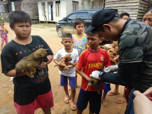 Petugas sedang melakukan suntikan vaksinasi terhadap hewan peliharaan masyarakat. Tercatat hingga 11 Juni 2023, sebanyak 1.785 orang warga Kalbar menjadi korban Gigitan Hewan Penular Rabies (GHPR) dan 11 orang diantaranya meninggal dunia