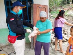 Kasus Rabies di Sanggau Capai 308 Kasus