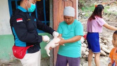 Kasus Rabies di Sanggau Capai 308 Kasus