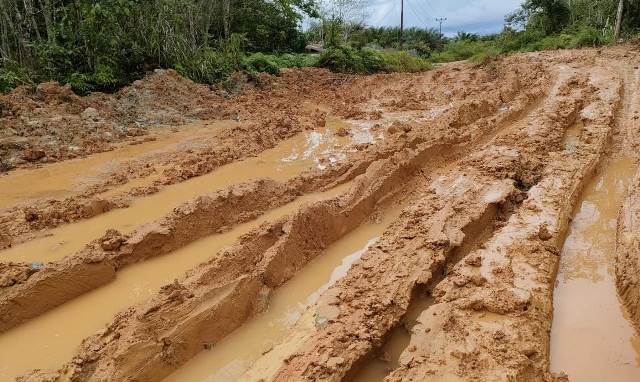 Sepanjang 12 kilometer jalan penghubung dari Desa Malenggang ke Dusun Perimpah menuju Dusun Empelas dan Dusun Sungai Tekam Desa Sungai Tekam Kecamatan Sekayam rusak parah.