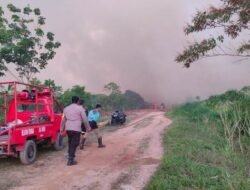 Polisi Amankan Terduga Pembakar Lahan