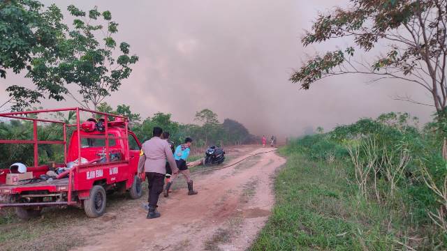 Tim gabungan sedang melakukan pemadaman api akibat karhutla. Polisi pun telah mengamankan seorang terduga pembakar lahan di Kubu pada Rabu (26/7)