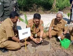 Hijaukan Kampus, UNU Kalbar – KPH Tanam Bibit Pohon