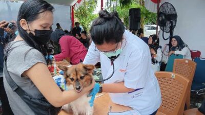 12 Pasien Rabies Dari Luar Kubu Raya